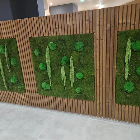 стаята на ив * Banszko